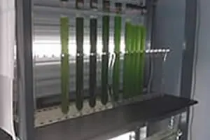 Test tubes with green liquid in rack.