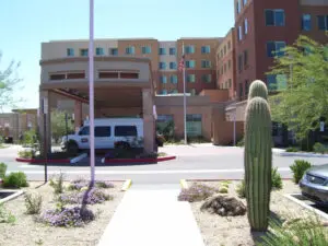 Hotel entrance with cactus and parked van.